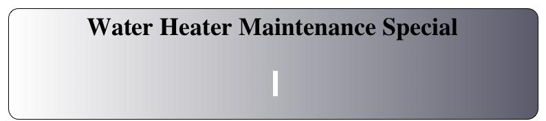 Water Heater Maintenance Special   
